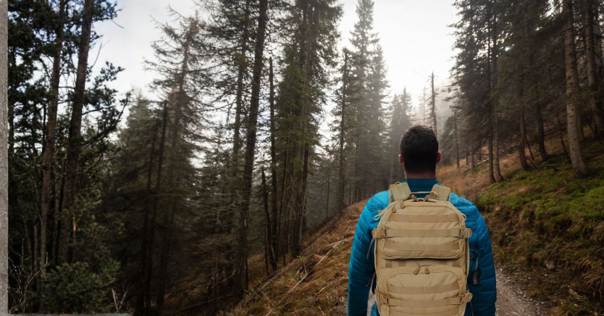 Person with a backpack walking through a forest