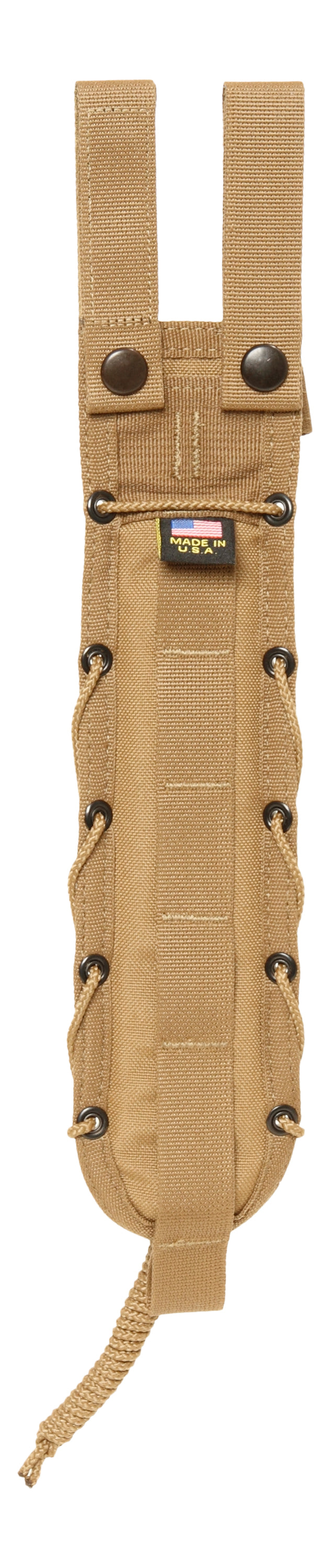 Coyote Brown