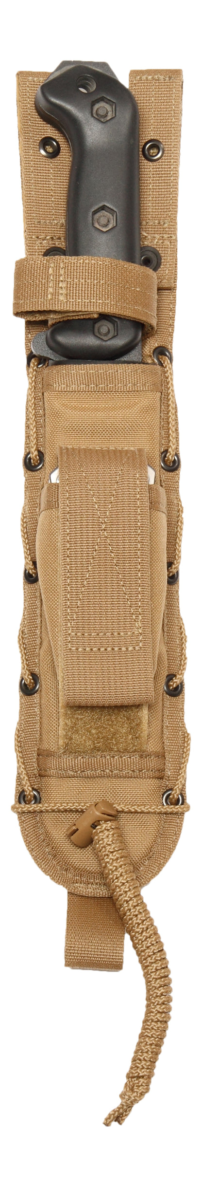 Coyote Brown