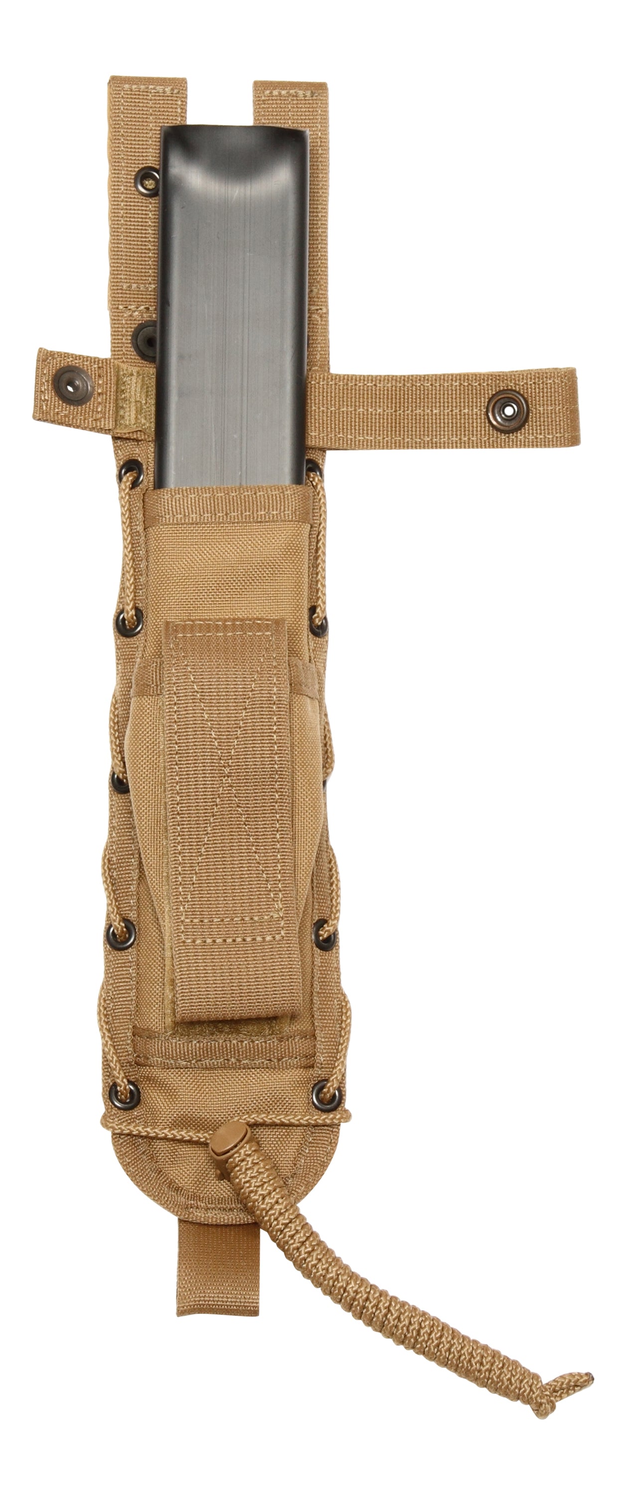 Coyote Brown