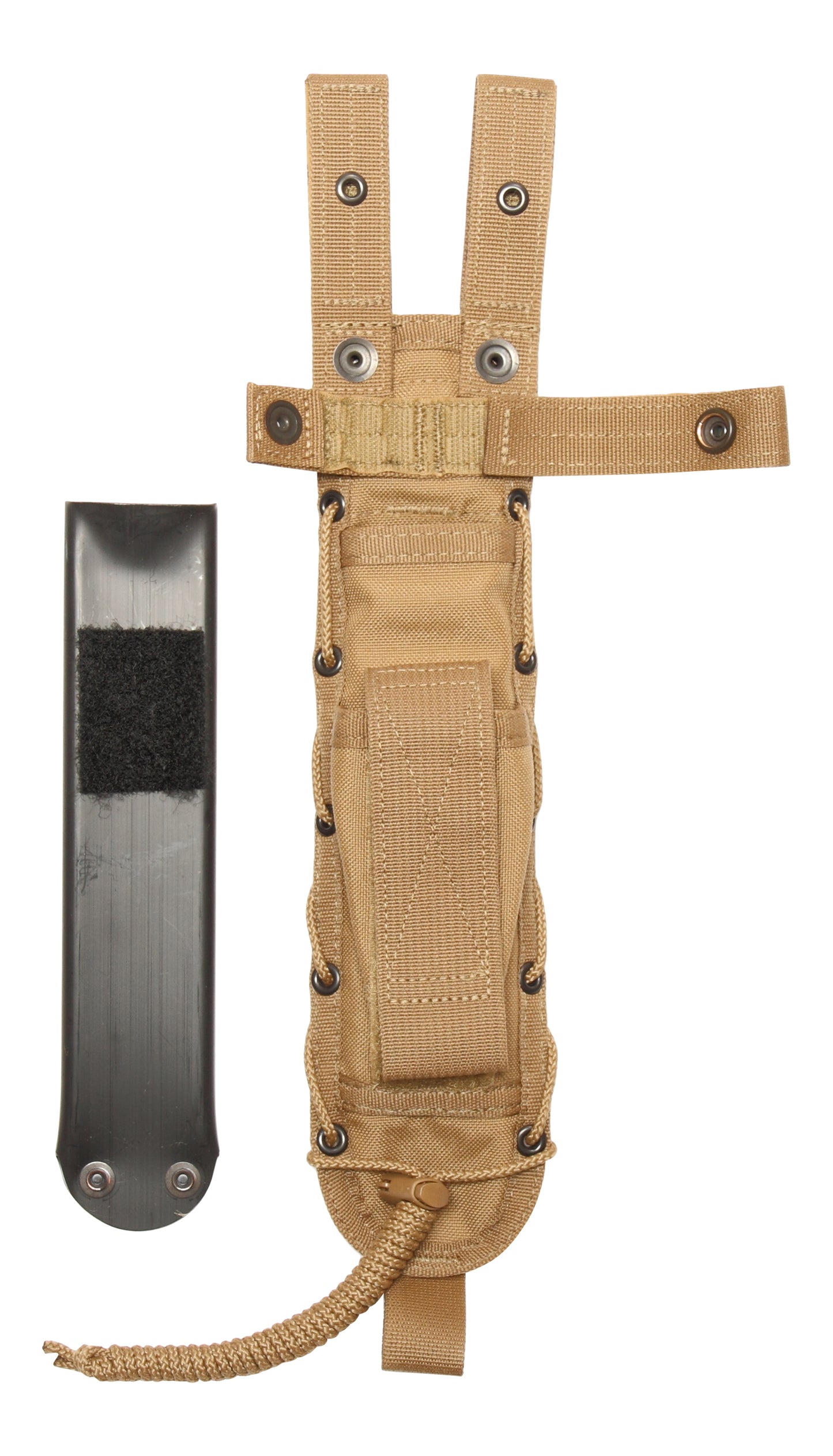 Coyote Brown