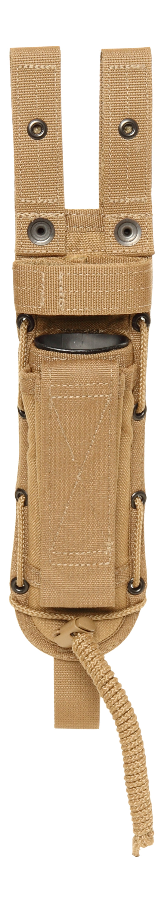 Coyote Brown