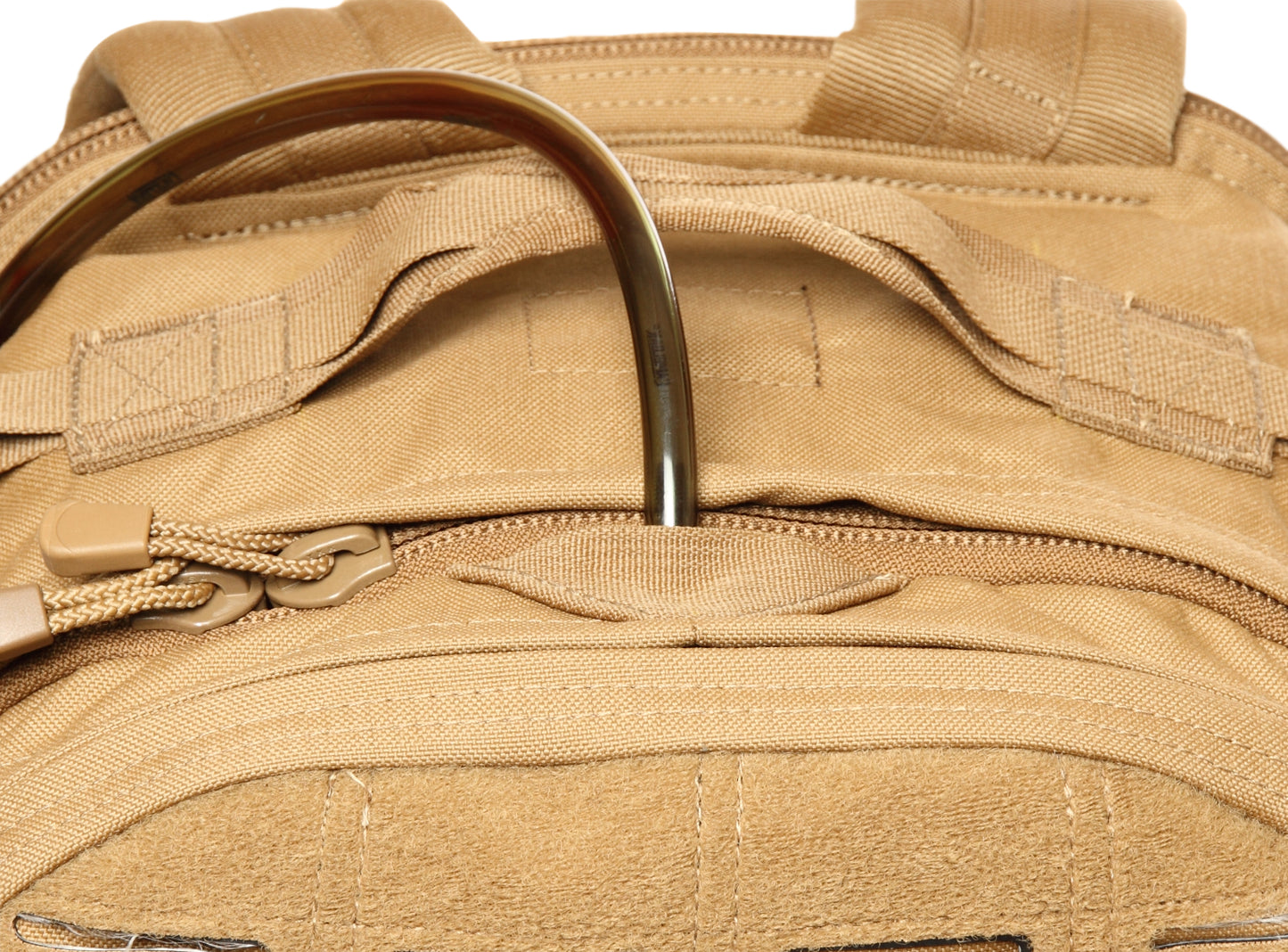 Coyote Brown