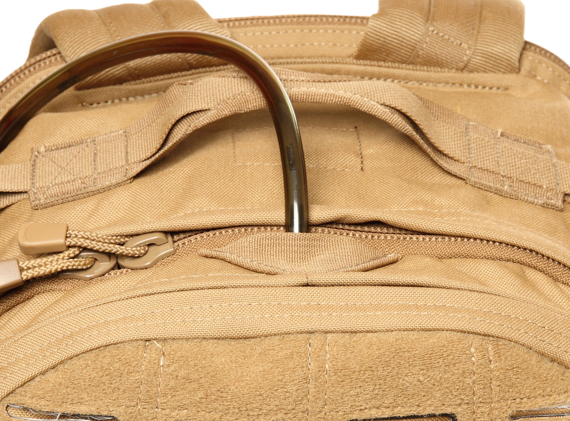 Coyote Brown